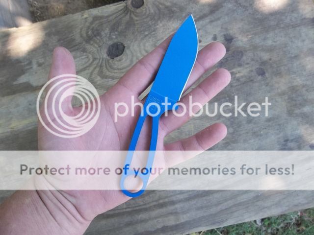 100_2723.jpg