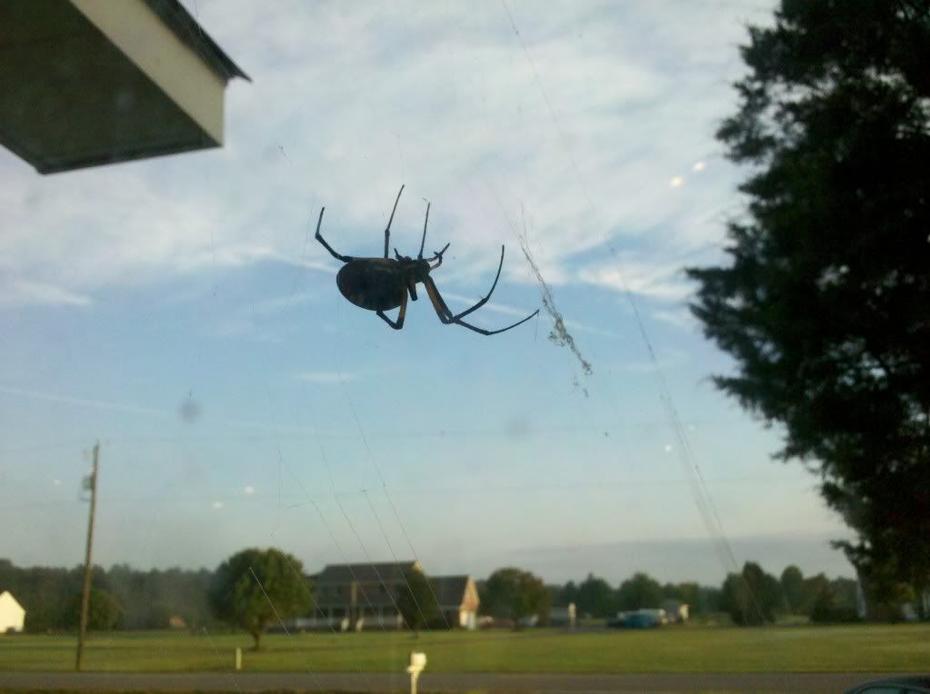 IMG_20120907_072524.jpg