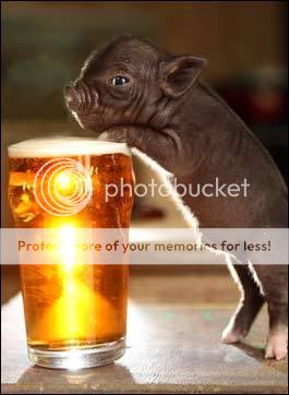beerangpiglet.jpg
