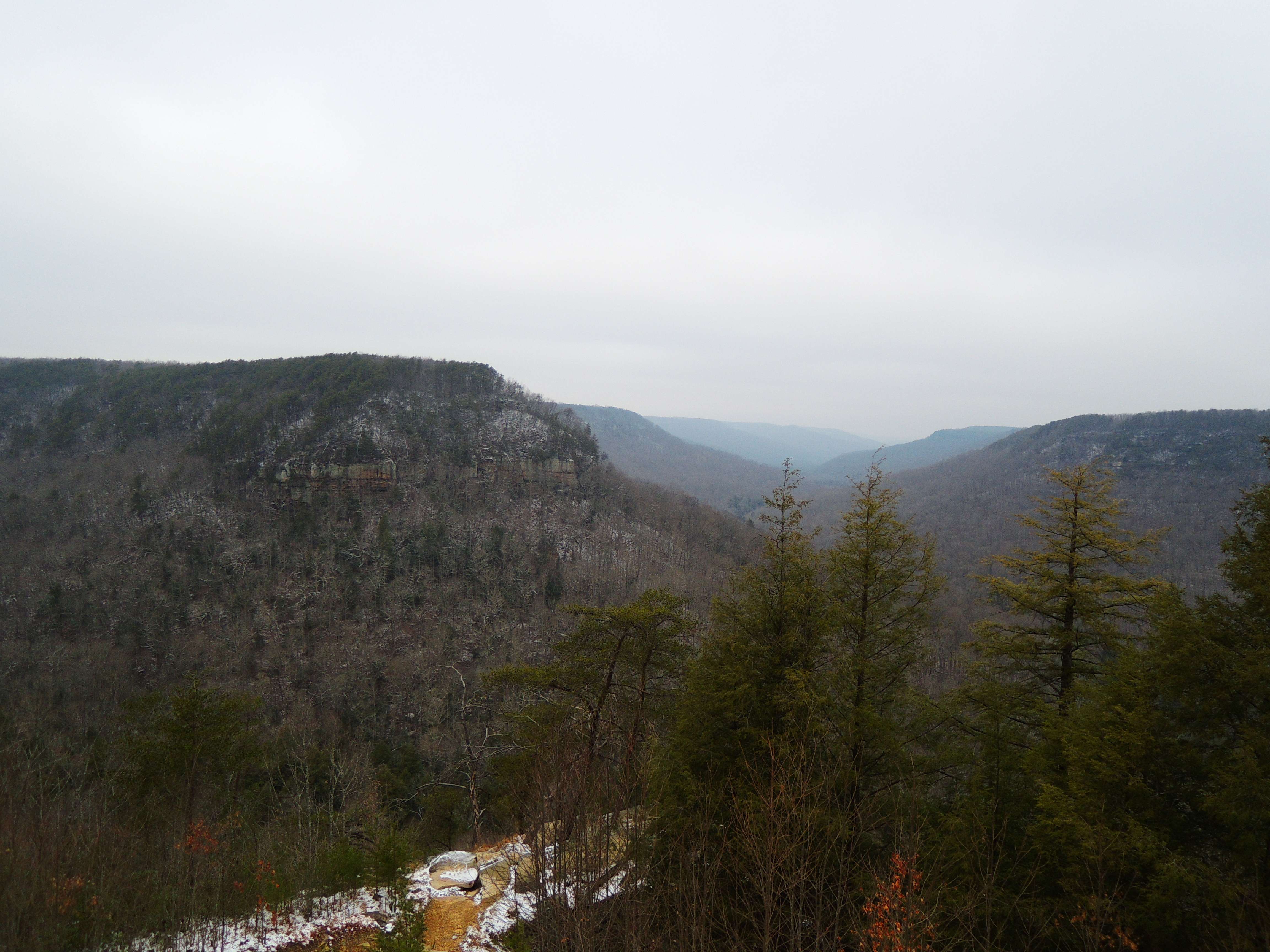 dscn8382.jpg