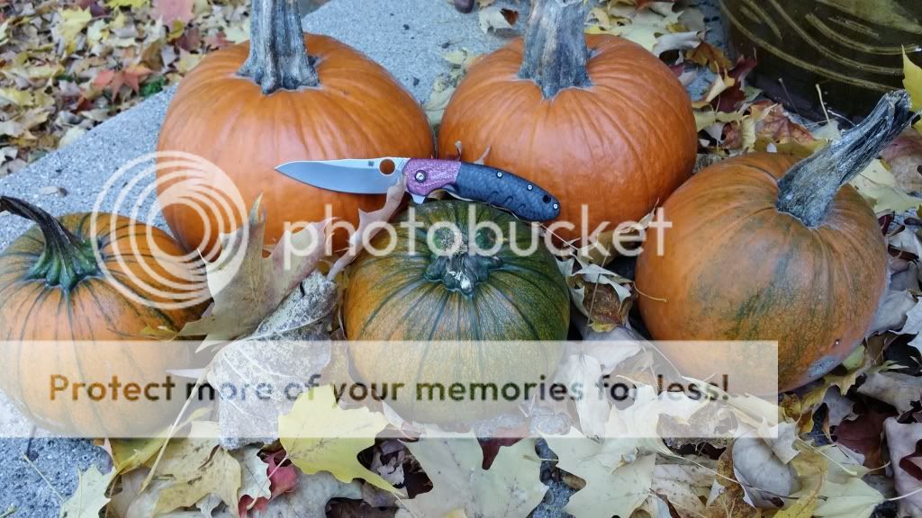 20131024_144621_zpsb1776d58.jpg