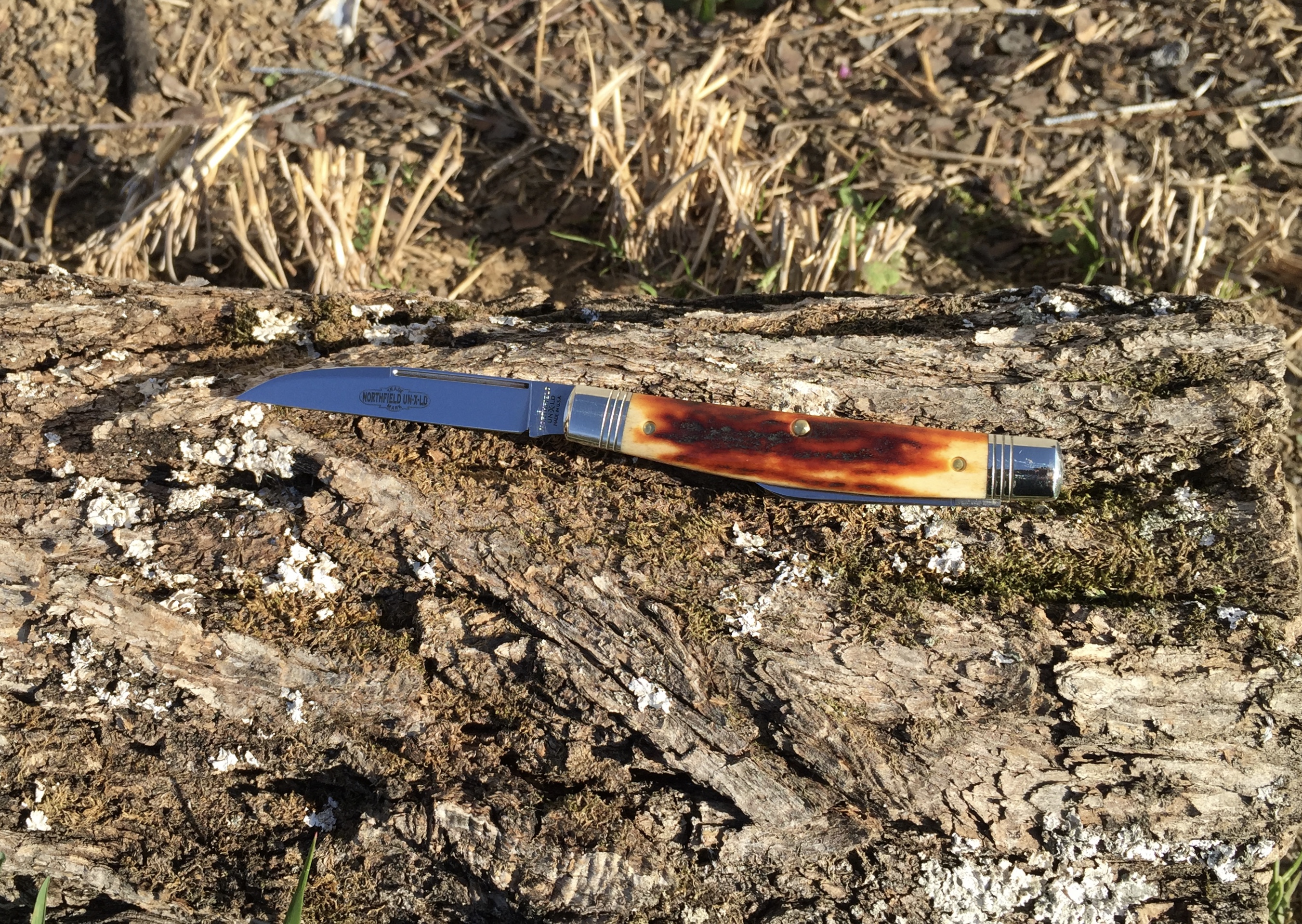 koa8Sdu.jpg