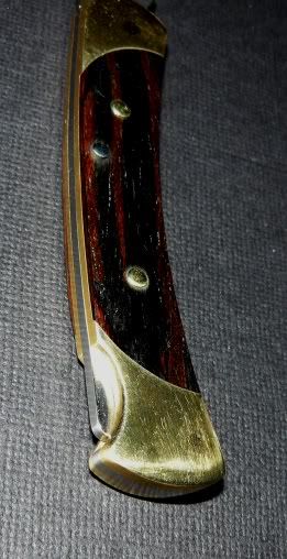 10-31-2010021.jpg