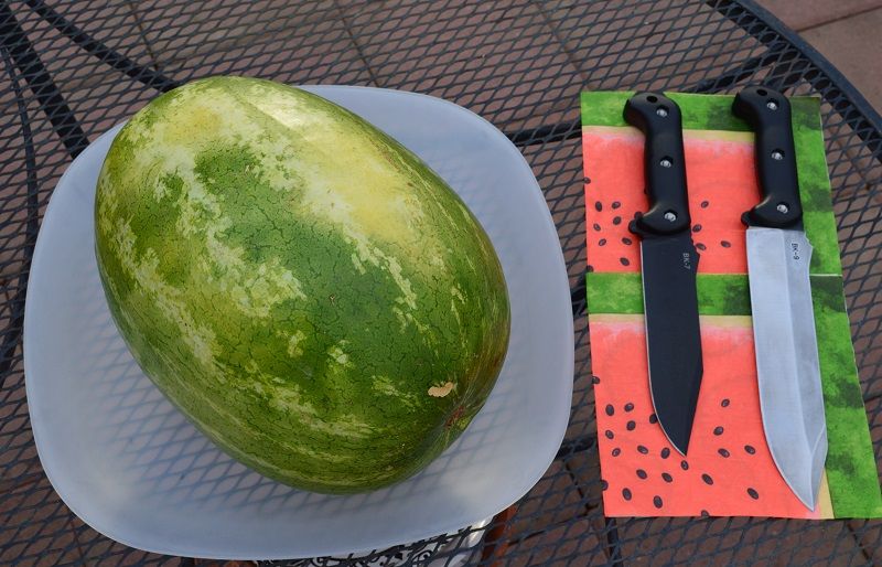 13%20Beckers%20Watermelon_zps6tterm9t.jpg