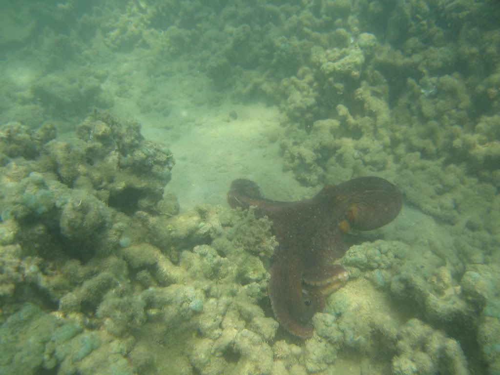 IMG_9078.jpg