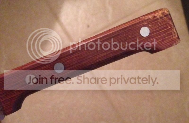 Photo_zpsc6ad8812.jpg