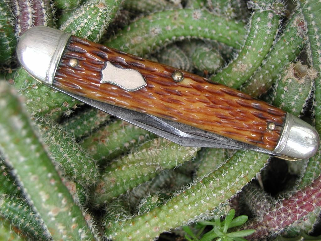 Whittler4_zps9c0cae60.jpg