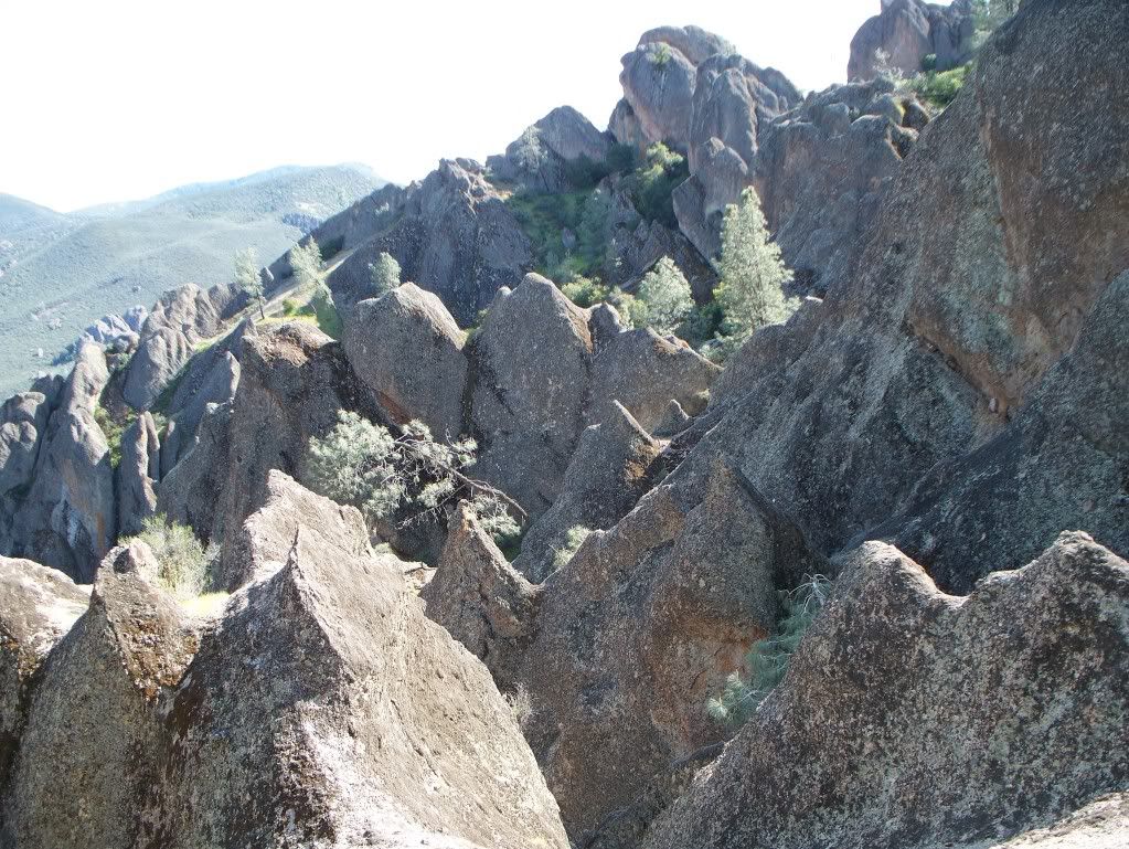 Pinnacles2010075.jpg