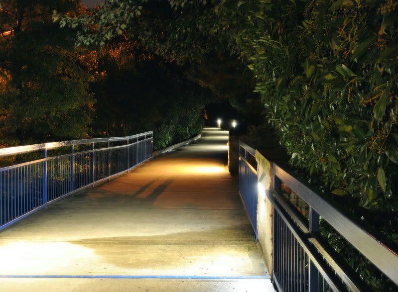 DSC_0870.jpg
