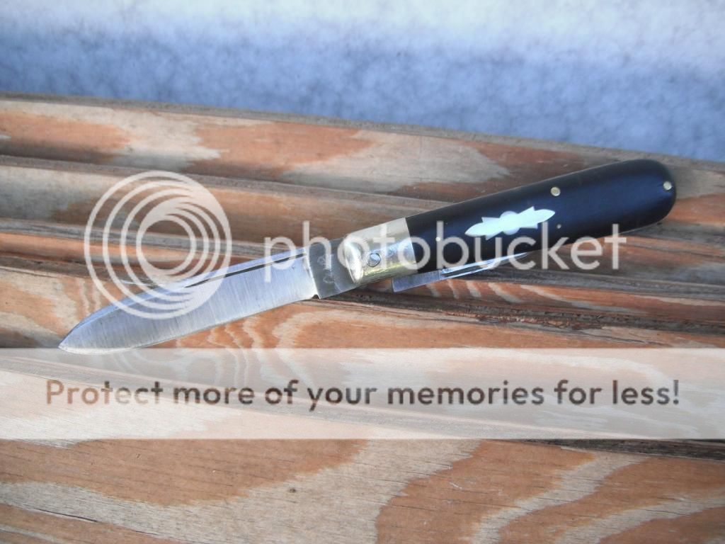 DSCF9183_zpsbd889a26.jpg~original