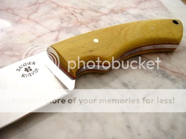 IMGP0837.jpg