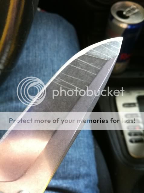 47905ccd.jpg