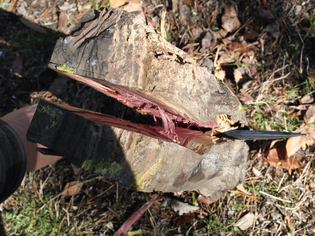 DSC_6733.jpg