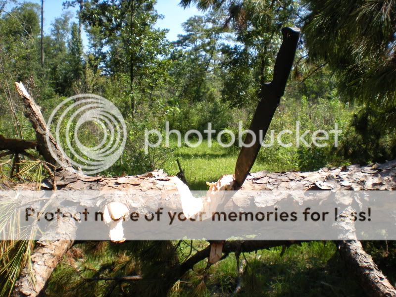 DSCN0436.jpg