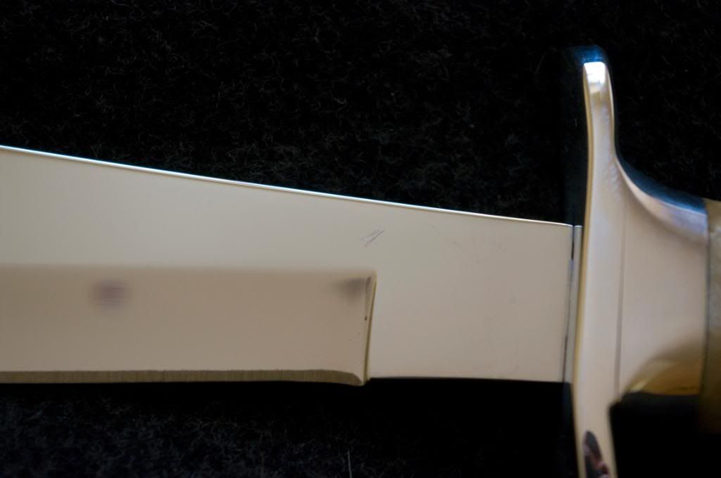 Buck901Scimitar_2.jpg