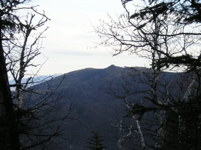 home007.jpg
