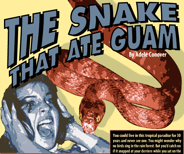 BrownTreeSnake-BookCover.gif