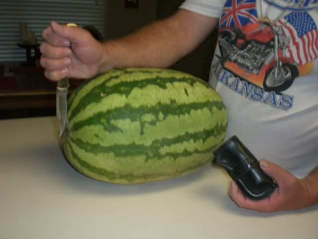 buck084.jpg