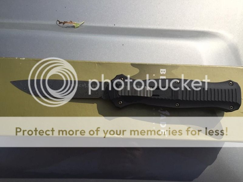 3310_zpsj1ctptsm.jpg