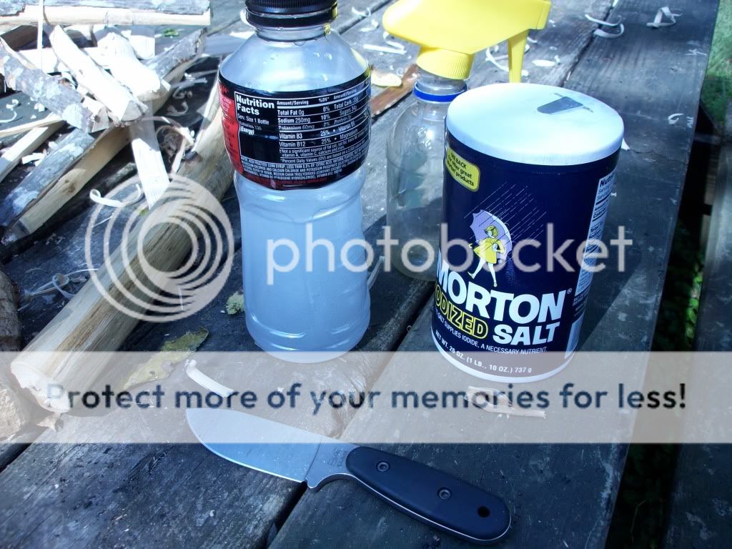 100_3244.jpg
