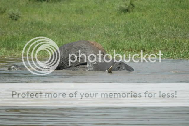 DSC_4579.jpg