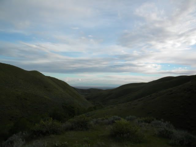 DSCN4037.jpg