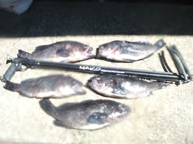 0722111322.jpg