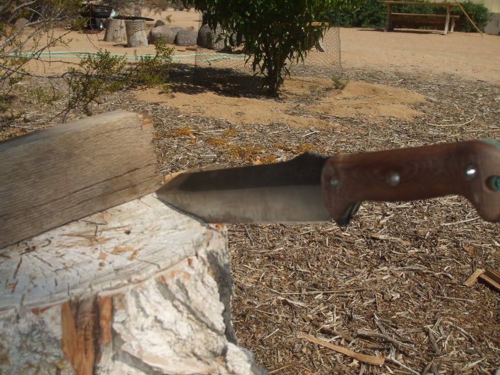 2012026.jpg