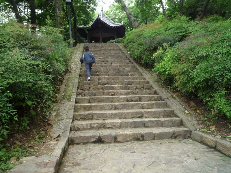 P1060835.jpg