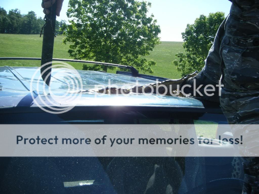 DSCF9183.jpg