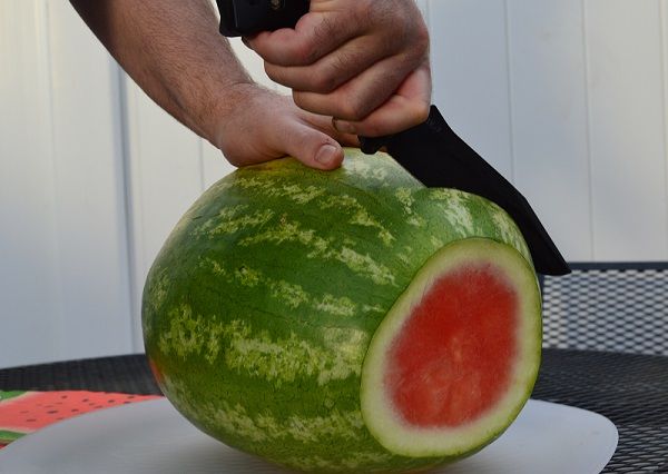 14%20BK7%20watermelon_zpszz51hrdh.jpg