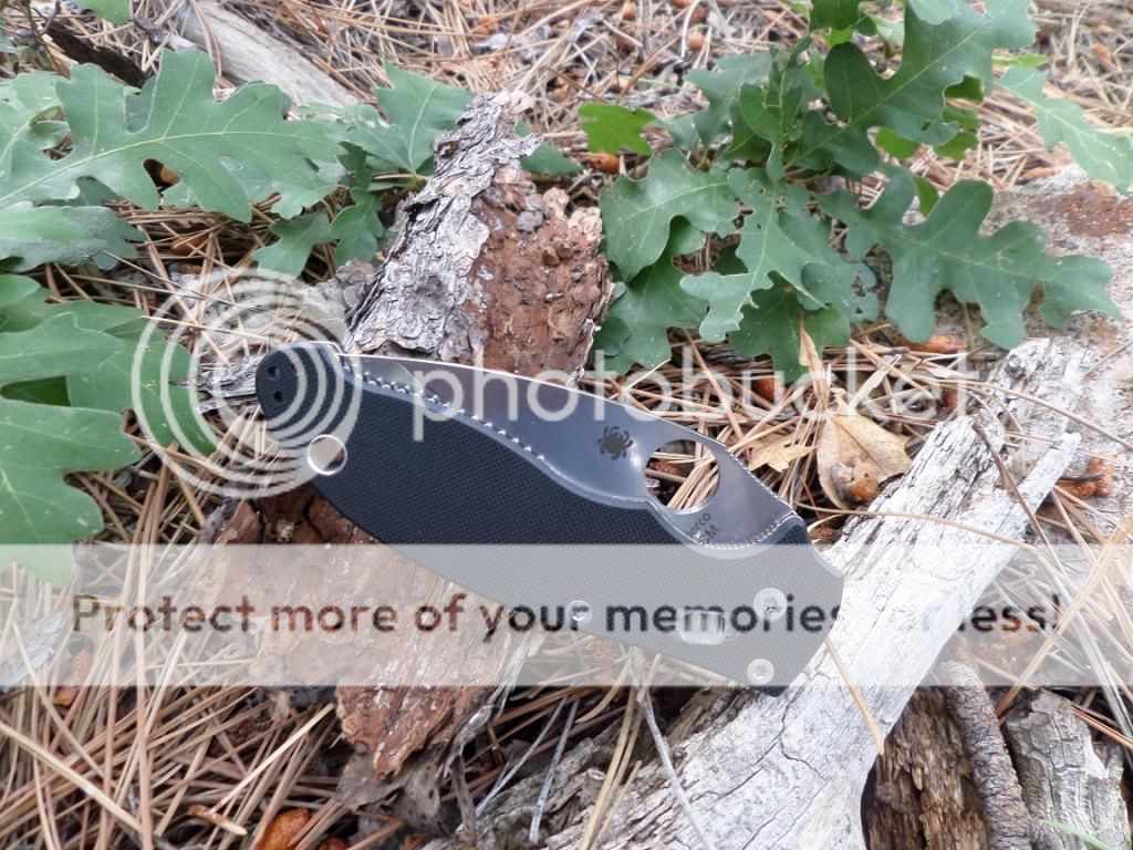 SAM_1329_zps59306203.jpg