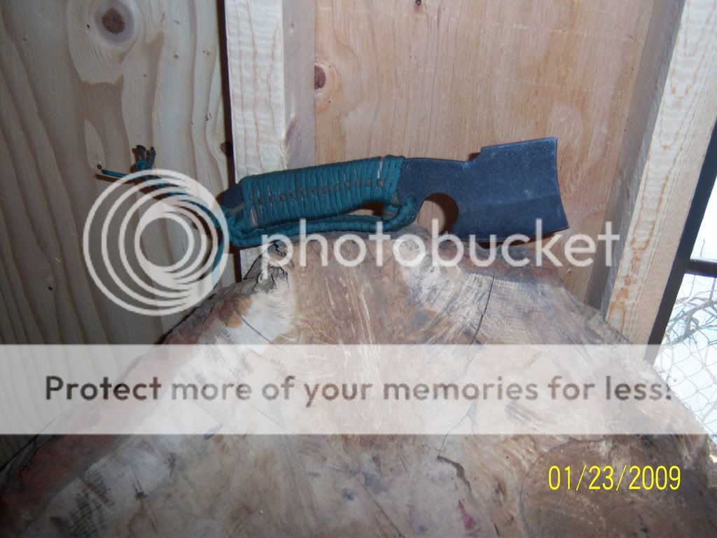 bussestuff001.jpg
