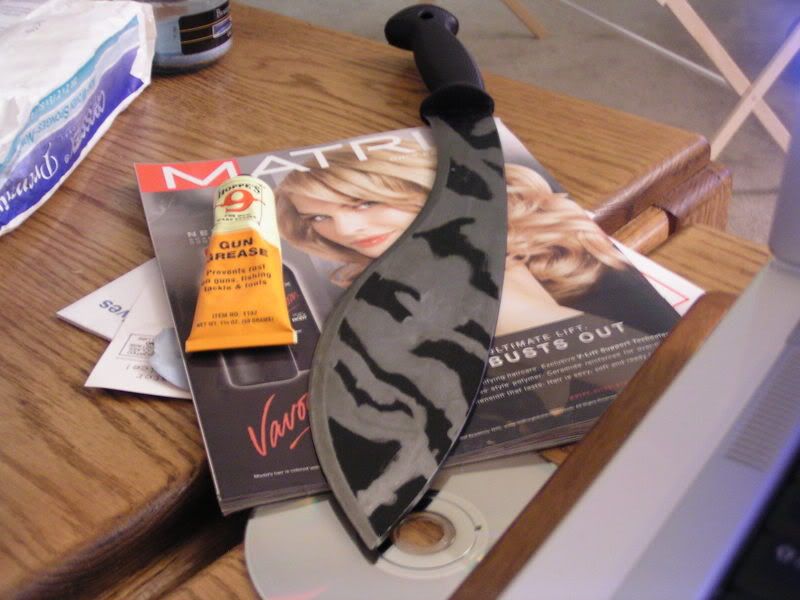 SpydercoChinook081.jpg