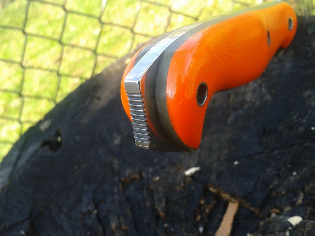 2012-11-04110228.jpg