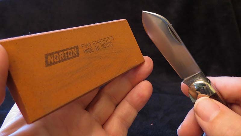 sharp1.jpg