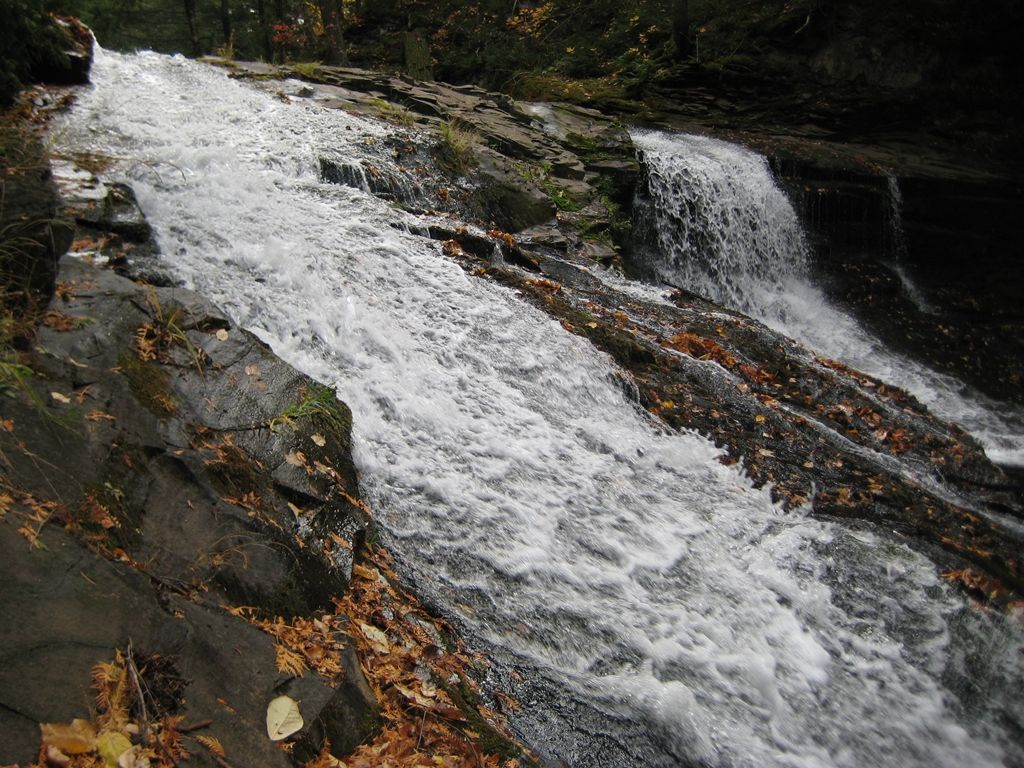 IMG_4337_zps1a58ca18.jpg