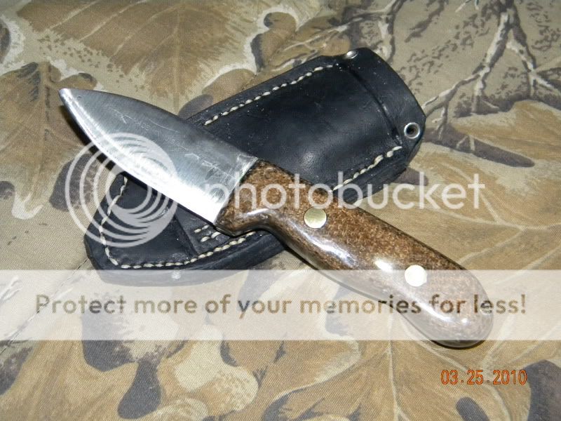 DSCN1646.jpg