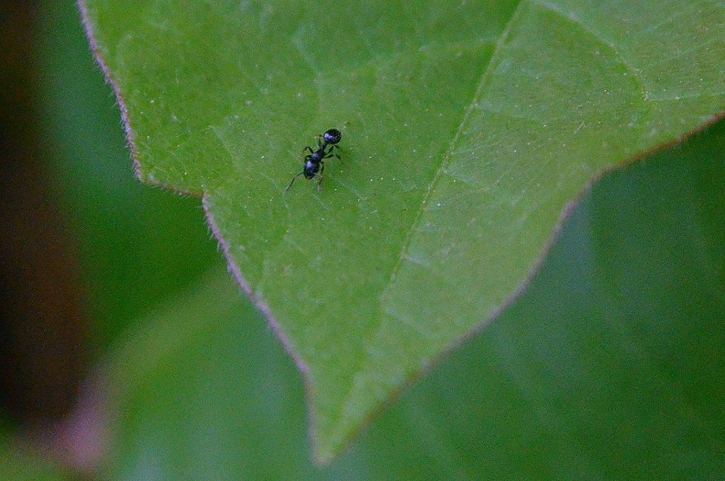 DSC_6225.jpg