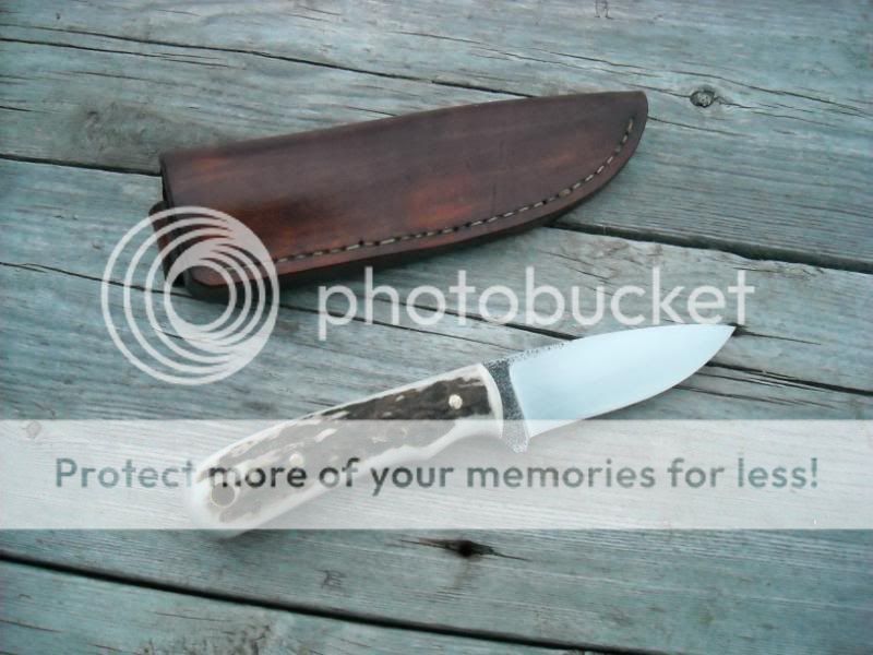 elk1084002.jpg