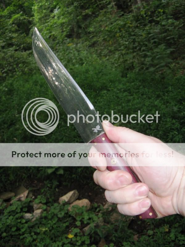 DPmountaineer008.jpg