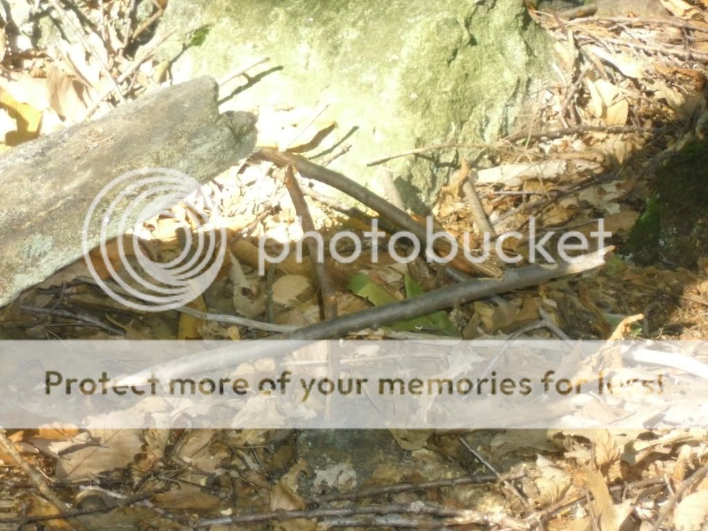 PICT0031-6.jpg