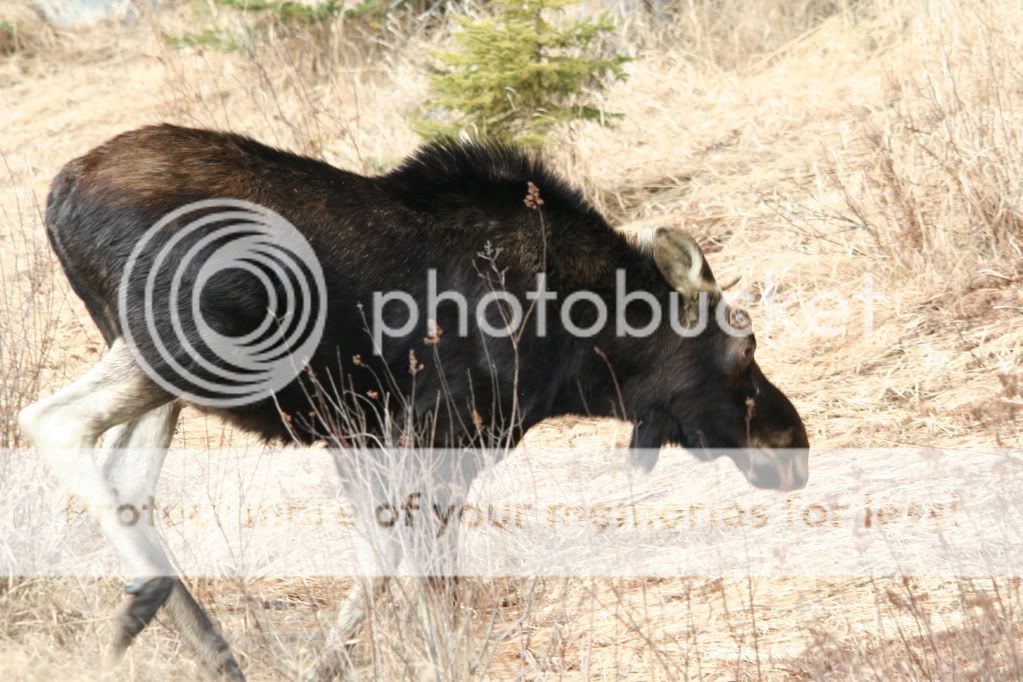 IMG_9692.jpg