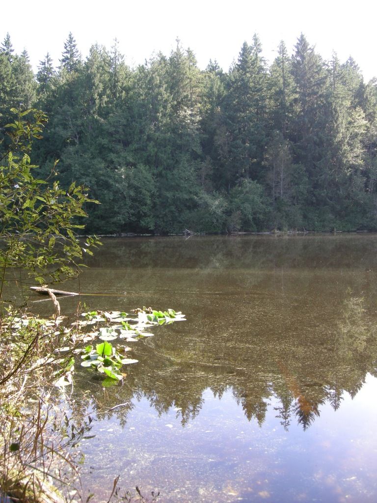 DSCN1619.jpg