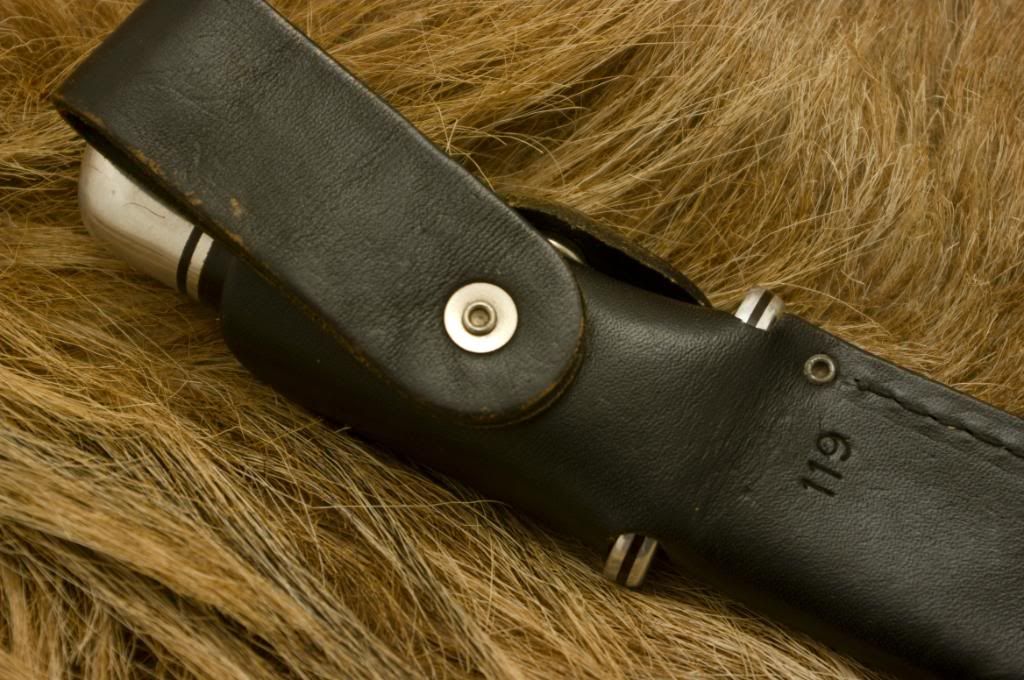 Buck119aus1981.jpg
