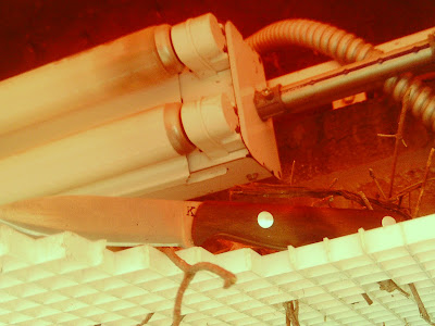 IMAG0150.JPG