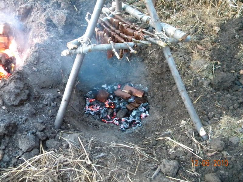 DSCN3145.jpg