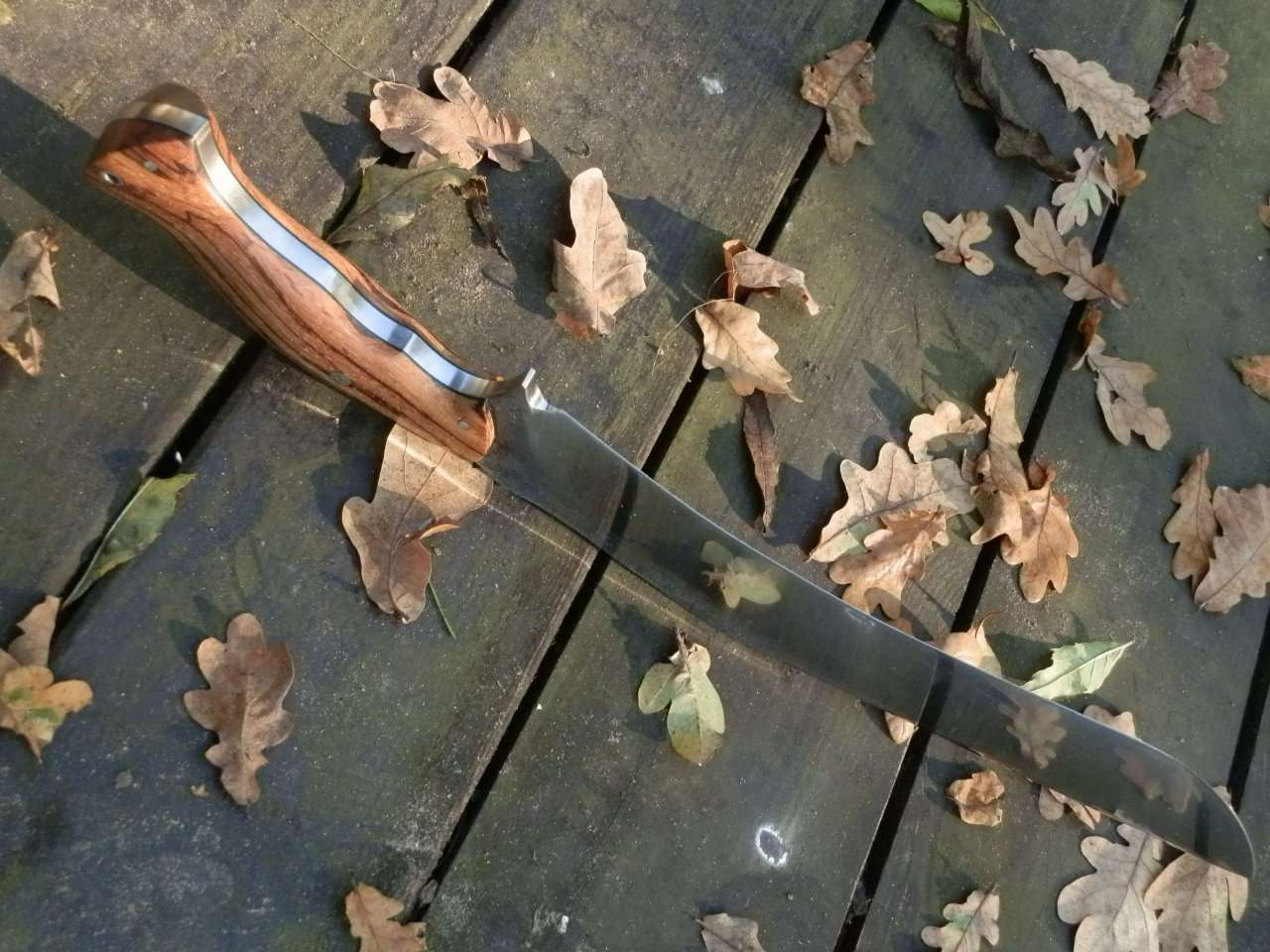 pa203803.jpg