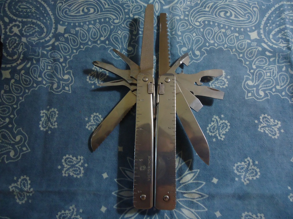 8ya0341.jpg