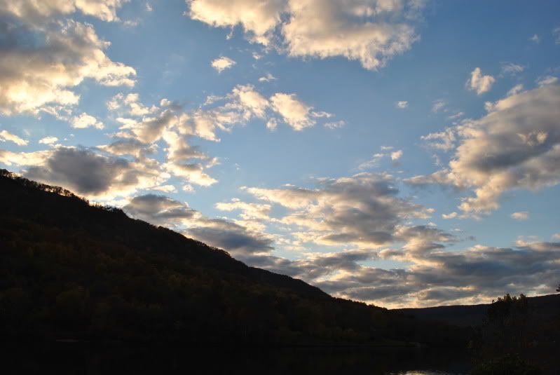 DSC_8462.jpg